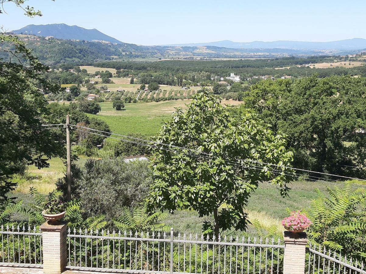 Villa Pacchini Poggio Mirteto Εξωτερικό φωτογραφία