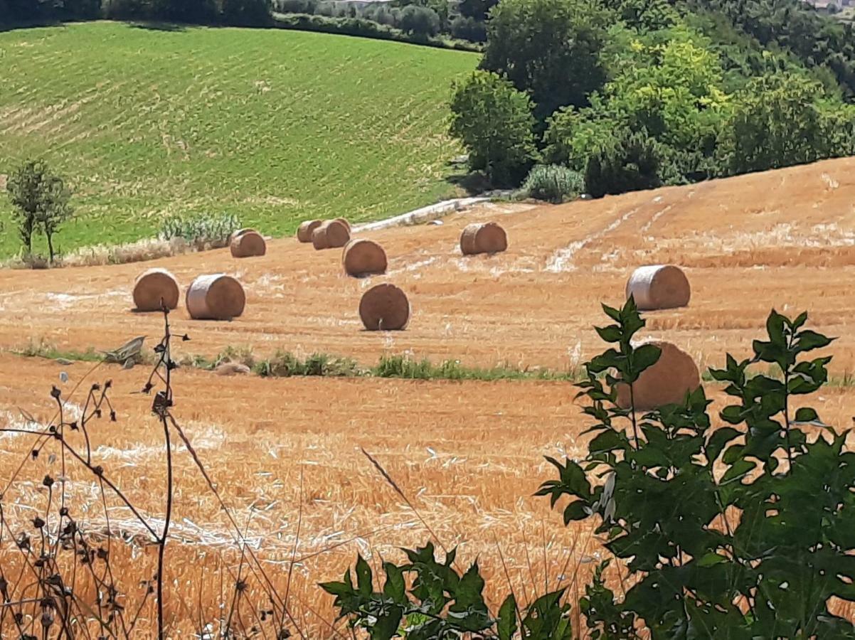 Villa Pacchini Poggio Mirteto Εξωτερικό φωτογραφία